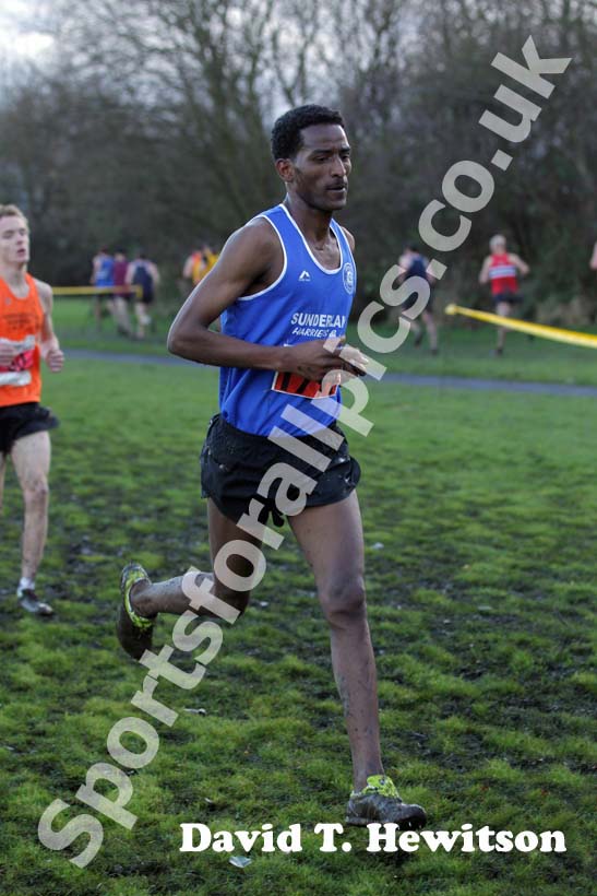 Eritrean athlete Weynay Ghebresilasie running for Sunderland Harriers on his way to third place in the Start First North East Harrier League, Jarrow.